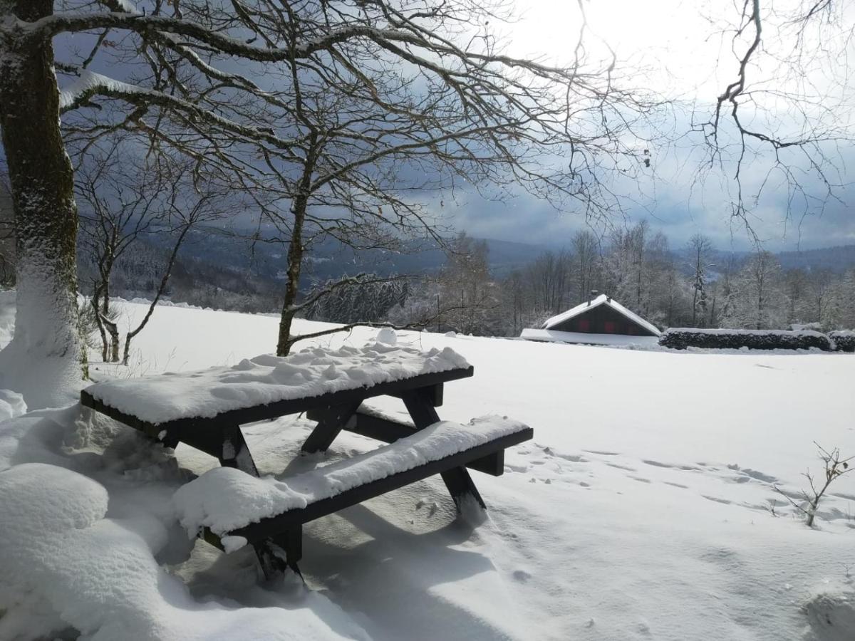 Chalet Individuel - Panoramique Montagnes & Proche Lac La Bresse Eksteriør billede