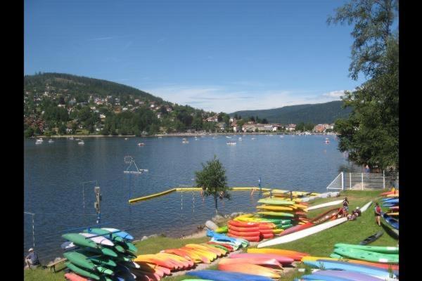 Chalet Individuel - Panoramique Montagnes & Proche Lac La Bresse Eksteriør billede