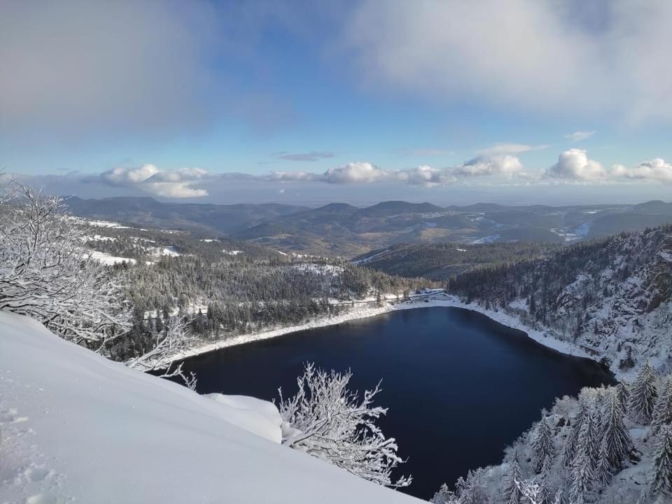 Chalet Individuel - Panoramique Montagnes & Proche Lac La Bresse Eksteriør billede
